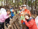 26枚目の画像
