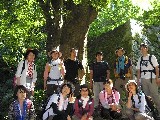 10枚目の画像