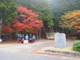 30枚目の画像
